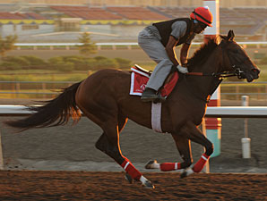 Dixie Strike - Woodbine August 3, 2012.