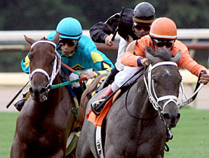 Do Dat Blues wins the 2010 Princess Stakes.