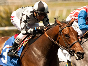 Doinghardtimeagain wins the Melair Stakes.
