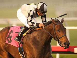 Doinghardtimeagain wins the Soviet Problem Stakes.