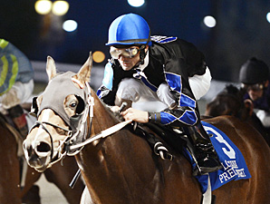 Dolly Bonz wins the Bon Temps Starter.