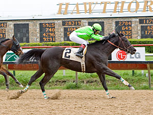 Dolly Peach wins the 2012 Pretty Jenny Stakes.