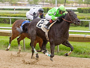 Dolly Peach wins the 2012 Pretty Jenny Stakes.