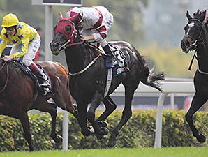 Dominant wins the Hong Kong Vase.