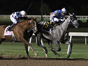 Don Dulce wins the 2012 Edward J. DeBartolo Memorial.