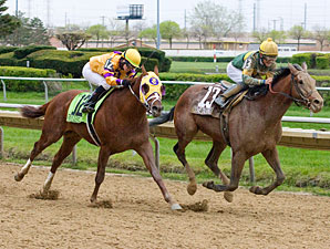 Done Talking wins the 2012 Illinois Derby.