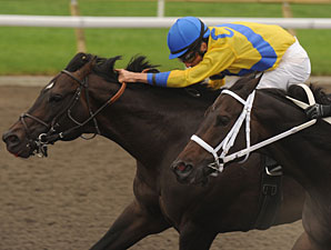 Don's Folly wins the 2010 Kenora Stakes.