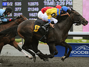Don's Folly wins the 2010 Kenora Stakes.
