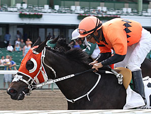 Dons Peach wins the Open Mind Handicap.