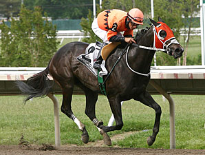 Dons Peach wins the Open Mind Handicap.