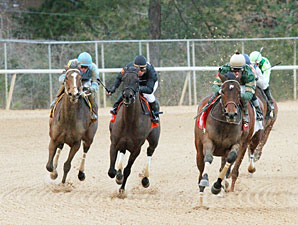 Don't Tell Sophia wins the 2013 Bayakoa Stakes.