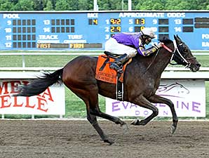 Dorsey's Dream wins the 2014 Louisiana Legends Starter Stakes.