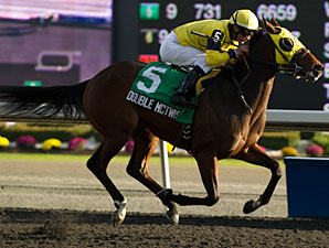 Double McTwist wins the 2012 Bull Page Stakes.