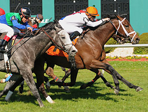 Doubles Partner wins the 2011 Tampa Bay Stakes.