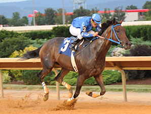 Down Town Allen wins the 2012 Fancy Buckles.