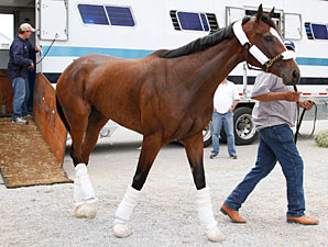 Dreaming of Julia arrives at Churchill Downs on April 8, 2013.