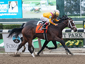 Dreaming of Julia wins the 2012 Frizette.