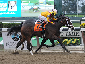 Dreaming of Julia wins the 2012 Frizette.
