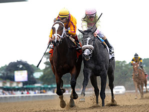 Dreaming of Julia wins the 2012 Frizette.