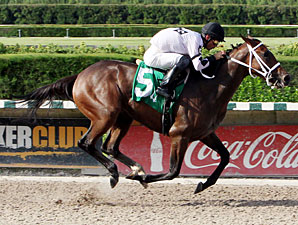 Dreaming of Sophia wins the 2012 Cassidy Stakes.
