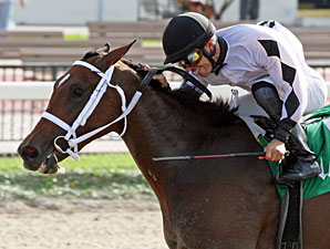 Dreaming of Sophia wins the 2012 Cassidy Stakes.