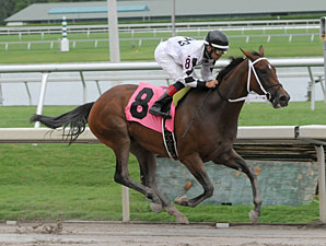 Dreaming of Sophia wins the 2013 Cellars Shiraz Stakes.