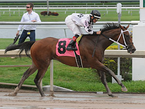 Dreaming of Sophia wins the 2013 Cellars Shiraz Stakes.