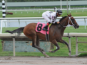Dreaming of Sophia wins the 2013 Cellars Shiraz Stakes.