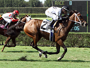 Dreaming of Sophia wins the 2013 Judy's Red Shoes.