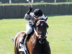 Dreaming of Sophia wins the 2013 Judy's Red Shoes.