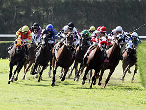Dreaming of Sophia wins the 2013 Judy's Red Shoes.
