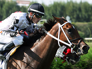 Dreaming of Sophia wins the 2013 Judy's Red Shoes.
