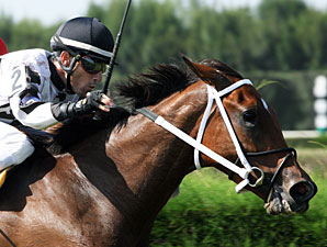 Dreaming of Sophia wins the 2013 Judy's Red Shoes.