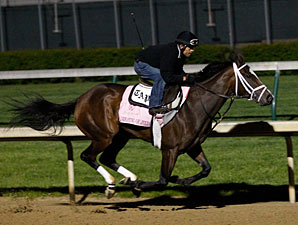 Dreaming of Julia works at Churchill Downs before the Kentucky Oaks.