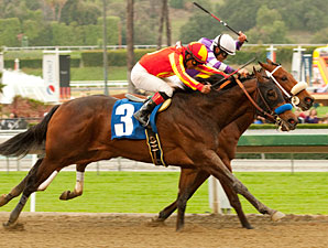 Drill wins the San Vicente Stakes.