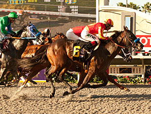 Drill wins the 2011 Del Mar Futurity.