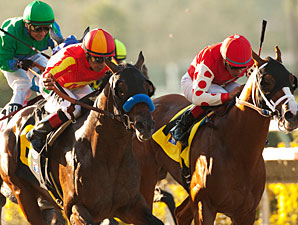 Drill wins the 2011 Del Mar Futurity.