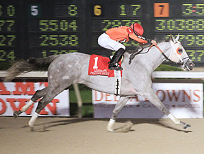 Drinking Fund wins the Ladies Starter.