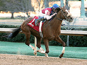 Drogue wins the 2014 Fifth Season.