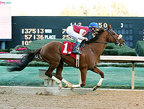 Drogue wins the 2014 Fifth Season.
