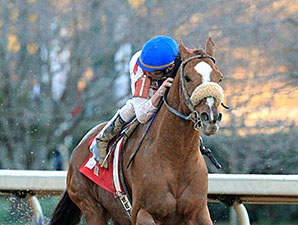 Drogue wins the 2014 Fifth Season.