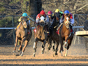Drogue wins the 2014 Fifth Season Stakes