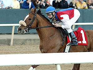 Drogue wins the 2014 Fifth Season.