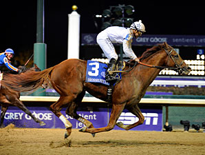 Drosselmeyer in the Breeders' Cup Classic.