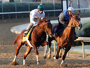 Drosselmeyer (left) and Birdrun at Churchill, October 29, 2011.