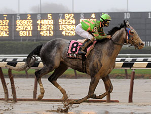 Aqueduct Cancels Stuyvesant Handicap