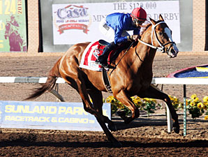 Dry Summer wins the 2013 Mine That Bird Derby.
