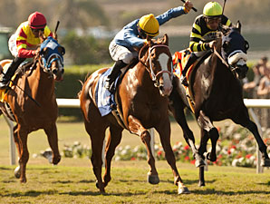 Dry Summer wins the 2012 Oak Tree Juvenile Turf Stakes.