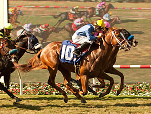 Dry Summer wins the 2012 Oak Tree Juvenile Turf Stakes.