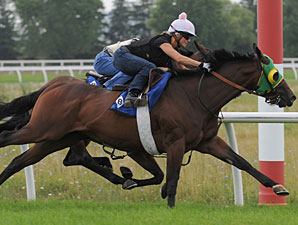 D's Wando at Woodbine on August 11, 2010.